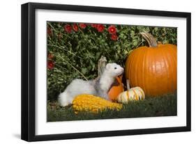 Ferret-Lynn M^ Stone-Framed Photographic Print