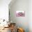 Ferrets 002-Andrea Mascitti-Mounted Photographic Print displayed on a wall