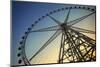 Ferris Wheel against the Blue Sky-Aylandy-Mounted Photographic Print