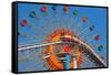 Ferris Wheel and Roller Coaster at Expo 1970-null-Framed Stretched Canvas