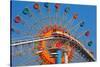 Ferris Wheel and Roller Coaster at Expo 1970-null-Stretched Canvas