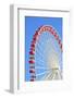 Ferris Wheel at Navy Pier, Chicago-soupstock-Framed Photographic Print