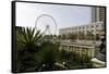 Ferris Wheel 'Eye of the Emirates' at the Amusement Park 'Al Qasba', Emirate of Sharjah-Axel Schmies-Framed Stretched Canvas