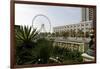 Ferris Wheel 'Eye of the Emirates' at the Amusement Park 'Al Qasba', Emirate of Sharjah-Axel Schmies-Framed Photographic Print