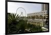 Ferris Wheel 'Eye of the Emirates' at the Amusement Park 'Al Qasba', Emirate of Sharjah-Axel Schmies-Framed Photographic Print