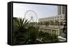 Ferris Wheel 'Eye of the Emirates' at the Amusement Park 'Al Qasba', Emirate of Sharjah-Axel Schmies-Framed Stretched Canvas