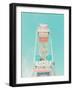 Ferris Wheel Nostalgia-Tom Windeknecht-Framed Photographic Print