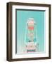 Ferris Wheel Nostalgia-Tom Windeknecht-Framed Photographic Print