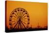 Ferris Wheel Sunset-sebra-Stretched Canvas