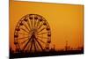 Ferris Wheel Sunset-sebra-Mounted Photographic Print