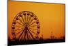 Ferris Wheel Sunset-sebra-Mounted Photographic Print