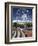 Ferris Wheel, the Waterfront, Cape Town, South Africa, Africa-Peter Groenendijk-Framed Photographic Print