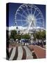 Ferris Wheel, the Waterfront, Cape Town, South Africa, Africa-Peter Groenendijk-Stretched Canvas