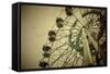 Ferris Wheel-Kuzma-Framed Stretched Canvas