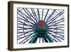 Ferris Wheel-ELINA-Framed Photographic Print