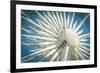 Ferris Wheel-The Guitar Mann-Framed Photographic Print