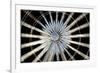 Ferris Wheel-Dutourdumonde-Framed Photographic Print