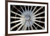 Ferris Wheel-Dutourdumonde-Framed Photographic Print