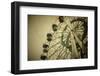 Ferris Wheel-Kuzma-Framed Photographic Print