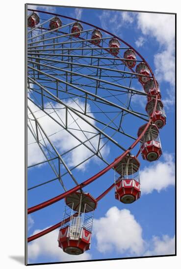 Ferris Wheel-null-Mounted Photographic Print