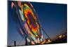 Ferris Wheel-null-Mounted Photographic Print