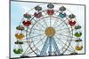 Ferris Wheel-Skaya-Mounted Photographic Print