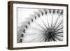 Ferris Wheel-Roswitha Schleicher-Schwarz-Framed Giclee Print