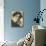 Ferruccio Benvenuto Busoni Italian Pianist and Composer-null-Photographic Print displayed on a wall