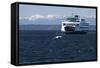 Ferry approaching Colman Dock on Elliott Bay, Seattle, Washington, USA-Jamie & Judy Wild-Framed Stretched Canvas