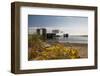 Ferry arriving at Port Townsend, Washington, USA-Michele Benoy Westmorland-Framed Photographic Print