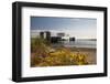 Ferry arriving at Port Townsend, Washington, USA-Michele Benoy Westmorland-Framed Photographic Print