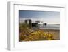 Ferry arriving at Port Townsend, Washington, USA-Michele Benoy Westmorland-Framed Photographic Print