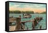 Ferry at Bemus Point, Chautauqua, New York-null-Framed Stretched Canvas