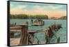 Ferry at Bemus Point, Chautauqua, New York-null-Framed Stretched Canvas