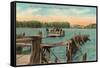 Ferry at Bemus Point, Chautauqua, New York-null-Framed Stretched Canvas