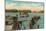 Ferry at Bemus Point, Chautauqua, New York-null-Mounted Art Print