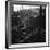 Ferry Boat Commuters from Staten Island Disembarking at Ferry Slip in Manhattan-Andreas Feininger-Framed Photographic Print