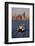 Ferry Boat in Elliot Bay-Paul Souders-Framed Photographic Print