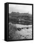 Ferry Boat Wedding Party, Mexborough, South Yorkshire, 1960-Michael Walters-Framed Stretched Canvas