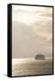 Ferry Boats Crossing Elliott Bay from Seattle, Washington-Greg Probst-Framed Stretched Canvas