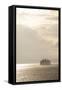 Ferry Boats Crossing Elliott Bay from Seattle, Washington-Greg Probst-Framed Stretched Canvas