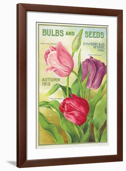 Ferry Bulbs and Seeds Detroit-null-Framed Art Print