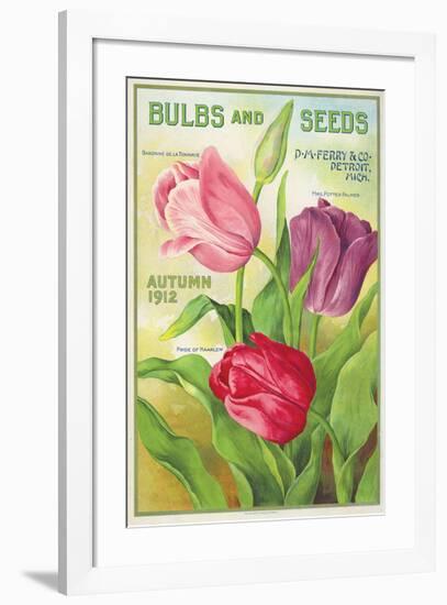 Ferry Bulbs and Seeds Detroit-null-Framed Art Print
