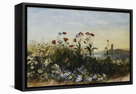 Ferry Carrig Castle, Co. Wexford, Seen Through a Bank of Wild Flowers-Andrew Nicholl-Framed Stretched Canvas