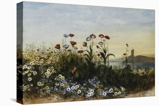 Ferry Carrig Castle, Co. Wexford, Seen Through a Bank of Wild Flowers-Andrew Nicholl-Stretched Canvas