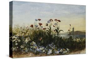 Ferry Carrig Castle, Co. Wexford, Seen Through a Bank of Wild Flowers-Andrew Nicholl-Stretched Canvas