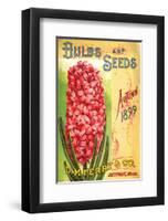 Ferry & Co. Seeds Detroit MI-null-Framed Art Print