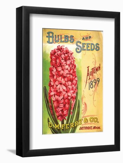 Ferry & Co. Seeds Detroit MI-null-Framed Art Print