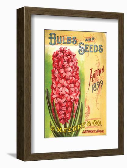 Ferry & Co. Seeds Detroit MI-null-Framed Art Print