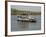 Ferry Crossing the Tiracol River, Goa, India-R H Productions-Framed Photographic Print